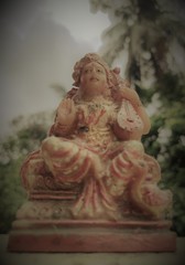 6000-8000
48MP
1/2594sec
f/1.7
ISO 113