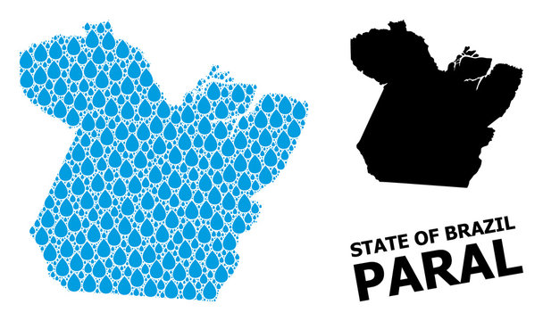 Vector Mosaic Map of Paral State of Liquid Tears and Solid Map
