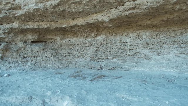 Footage of violet flower with bee collecting nectar