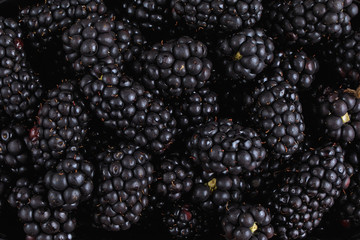 Fresh ripe blackberries. Blackberry background