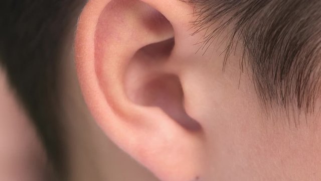 Close up of a little child ear. Natural light