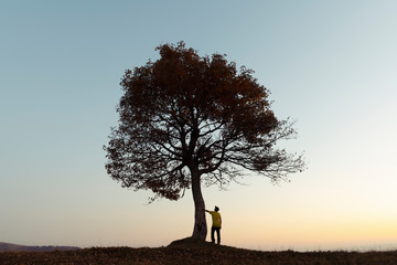 Silhouette of tourist under majestic tree at evening mountains meadow at sunset. Dramatic colorful...