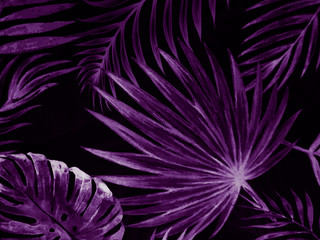 Beautiful abstract color gray purple flowers on dark background and purple graphic texture, purple background, colorful graphics banner, purple leaves