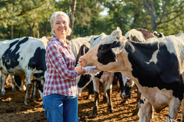 Farmer woman on cow farm around herd