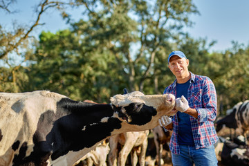 Male rancher in a farm