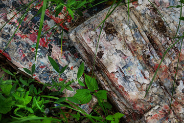 Weathered adverticement magazines outdoors in green grass