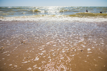 People swimming in the rough sea. View from the sandy beach
