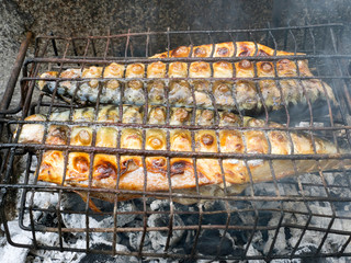 Fried fish. Hot mackerel fish on a grilling pan, with herb spices on coal fire