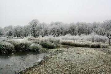 Brown Moss Nature Reserve in Winter