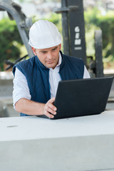 professional worker looking at laptop