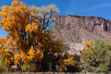 Autumn in Unaweep Canyon