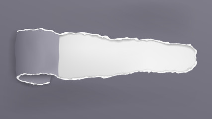 Torn, ripped dark grey paper hole with soft shadow, frame for text is on white background. Vector illustration.