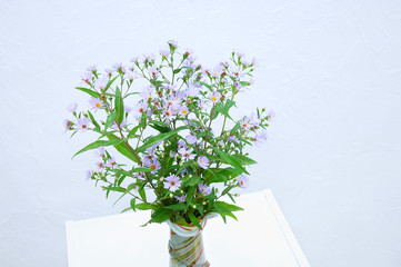 Field purple flowers in a retro vase in the interior of  room against the background of a white wall.