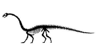 Vector silhouette of dinosaurs skeleton. Hand drawn dino skeleton. Dinosaur bones, exhibit fossils in the museum