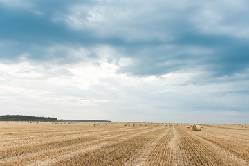 Fototapeta na wymiar Field with straw bales. Beautiful summer rural landscape photographed in Ukraine.