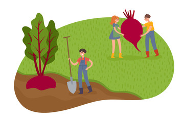 Obraz na płótnie Canvas Organic farming illustration with tiny farmers holding big beetroots