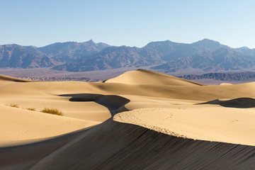 Fototapeta na wymiar Mesquite Flat Sand Dunes 5