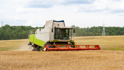 Combine harvester harvests ripe wheat near in the field, against the background of the forest and sky with clouds. Collecting seeds of cereals with special equipment on the farm. 