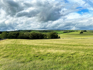 Obraz premium Extensive meadow, with wild grasses, trees, farms and hills, on a cloudy day in, Eshton, Skipton, UK