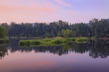 Summer landscape at sunrise. A river with trees reflected in it and a blue dawn sky with pink clouds. The beauty of the surrounding world.