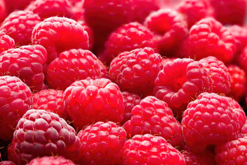 Fresh ripe red raspberries background close-up. Healthy organic food, summer vitamins, BIO viands, natural background. Copy space for your advertising text message