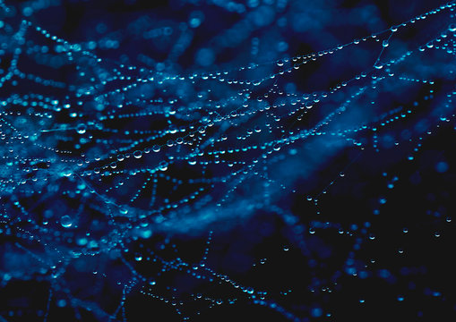 Beautiful abstract purity background with water drops in blue color.