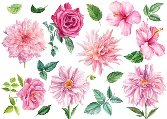 Schilderijen op glas Set van aquarel bloemen en bladeren, roze dahlia, roos, hibiscus, geïsoleerde witte achtergrond, botanische illustratie © Hanna