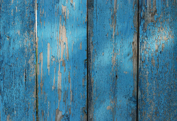 Fototapeta na wymiar Old shabby wooden planks with cracked blue color paint. Rural country background, Copy spacy