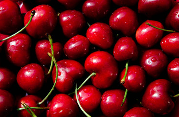 Fresh juicy cherries with stems