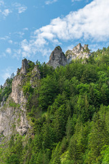 Rocks with trees around above Vratna dolina valley in Mala Fatra mountains in Slovakia © honza28683