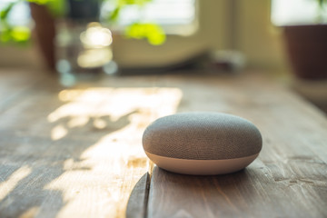 Smart ai voice speaker. Smart home.