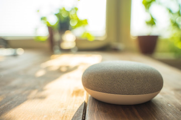 Smart ai voice speaker. Smart home.