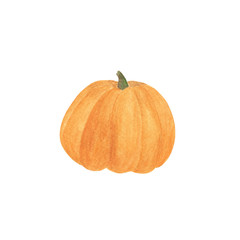 Pumpkin hand drawn watercolor illustration for seasonal autumn holidays celebration design, healthy vegetarian diet, thanksgiving, halloween clip art