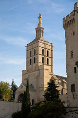 Fototapeta na wymiar Avignon Cathedral, Avignon, Provence, France