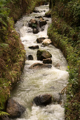 Narrow stream of river water with stones, rapids and steep banks with green vegetation