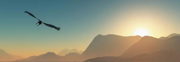 Gartenposter Adler fliegt im Morgengrauen in den Wolken © juanjo