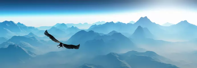 Abwaschbare Fototapete Schlafzimmer Adler fliegt im Morgengrauen in den Wolken