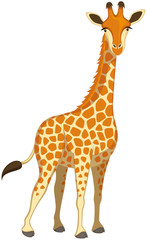 Obraz premium Vector illustration of a standing cartoon giraffe against a white background.