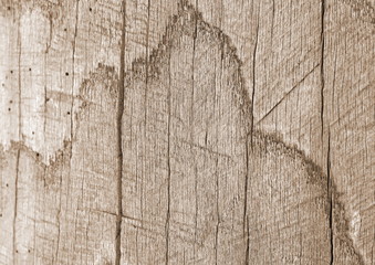 Close up of old aged weathered cracked wood profile surface texture log texture old wood texture. Beautiful wooden texture. Rustic wooden surface.