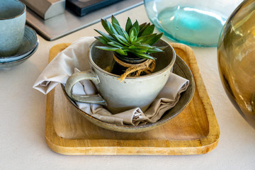 Aloe cactus in a cup on a fine kitchen table next to a gas stove. Decorative glass vases. High quality photo