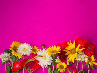 Frame of flowers: sunflowers, gladiola, dahlia on bright pink background. Floral modern autumn concept with copy space, top view