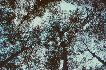 Processed with VSCO with p5 preset