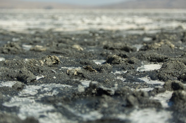 salt lake mud