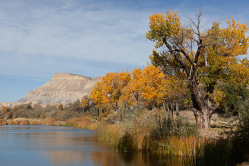 Autumn Shores