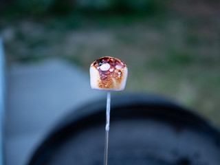 Brown sweet marshmallow roasting on charcoals