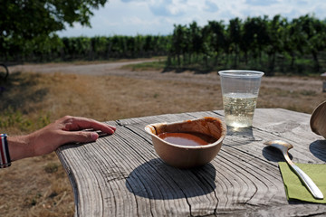 Picnic on a vineyard with soup and wine spritz