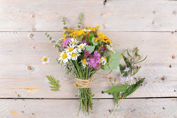 Set of medicinal plants, pills and oils, the concept of alternative medicine and natural cosmetics, background, mint, chamomile, celandine and yarrow are used to treat diseases, flat lay