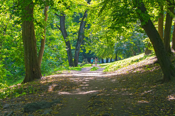 In Central Park of Kaliningrad