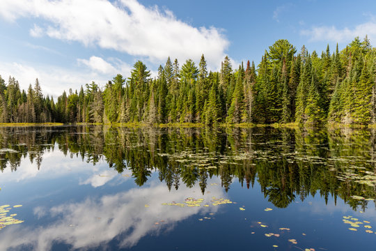 Lake landscape at West Rose Pond in Algonquin Provincial Park © IHX