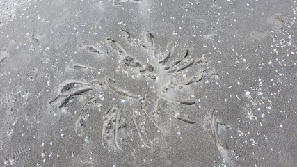 beach art